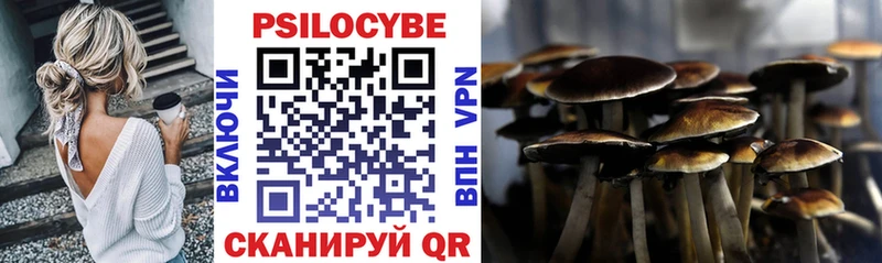 дарк нет телеграм  купить   Йошкар-Ола  Галлюциногенные грибы ЛСД 
