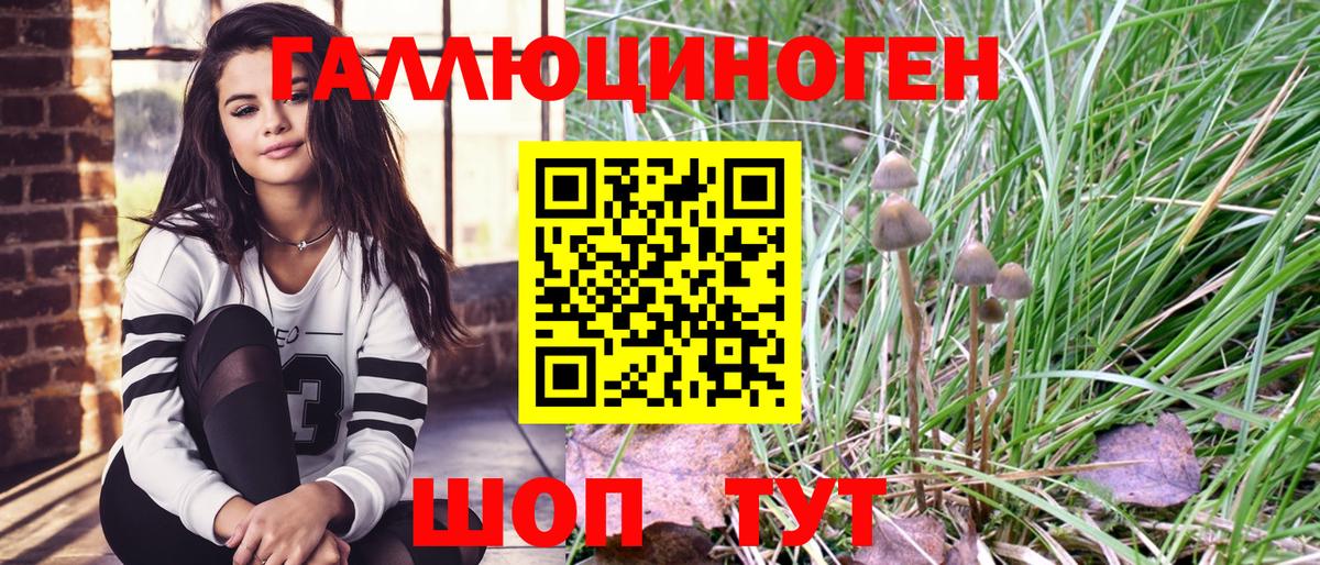 Псилоцибиновые грибы GOLDEN TEACHER Йошкар-Ола