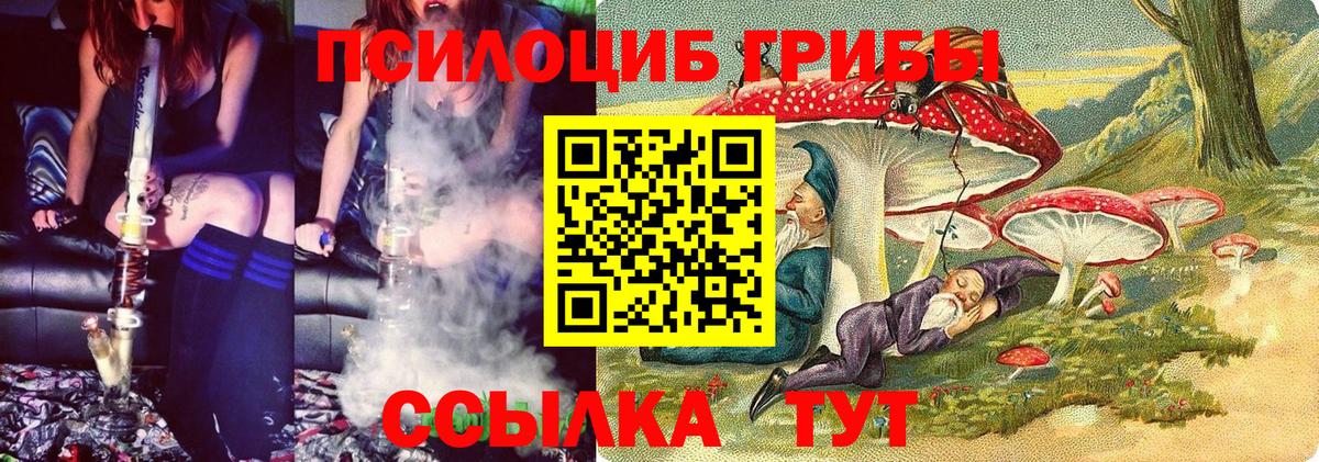 Галлюциногенные грибы прущие грибы  Вход с VPN  Йошкар-Ола 